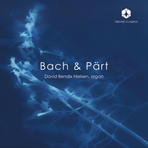 David Bendix Nielsen – J.S. Bach & Arvo Pärt: Organ Works (2022) [FLAC 24bit, 192 kHz]