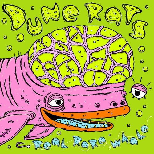 Dune Rats - Real Rare Whale (2022) MP3 320kbps Download