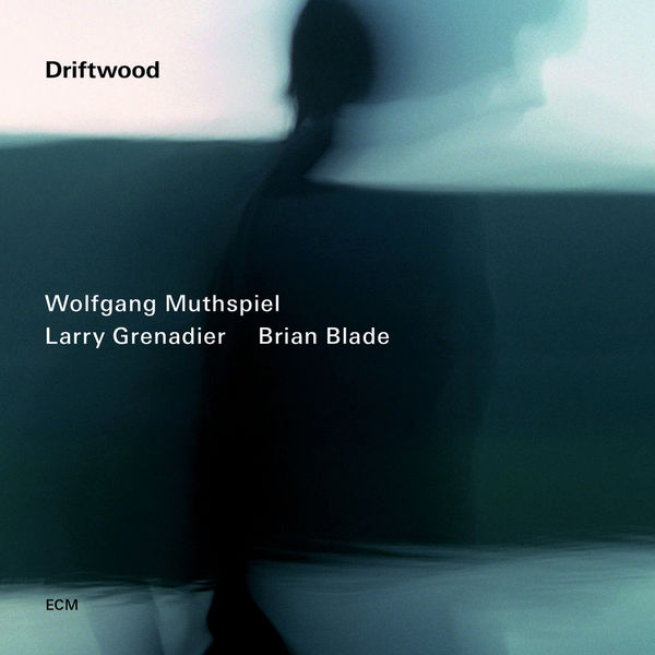 Wolfgang Muthspiel, Larry Grenadier, Brian Blade – Driftwood (2014) [Official Digital Download 24bit/96kHz]