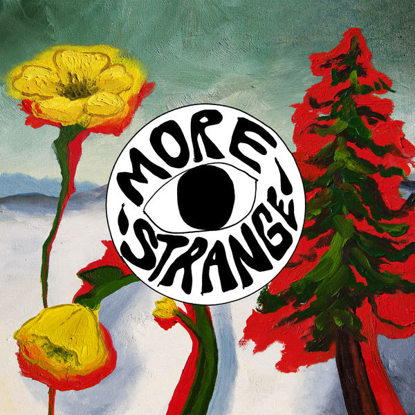 Woods – Strange to Explain (More Strange – Deluxe Edition) (2021) [Official Digital Download 24bit/96kHz]