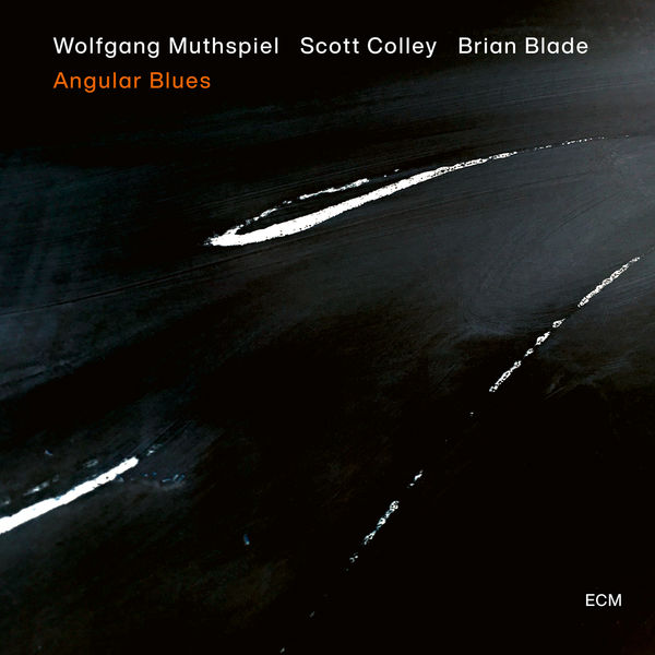 Wolfgang Muthspiel, Scott Colley, Brian Blade – Angular Blues (2020) [Official Digital Download 24bit/96kHz]