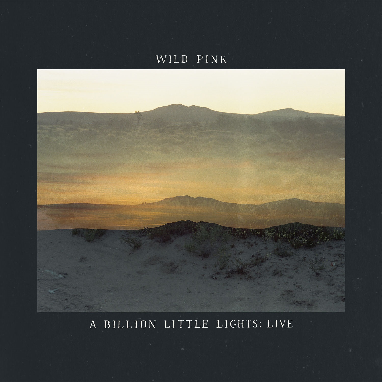 Wild Pink – A Billion Little Lights Live (2021) [Official Digital Download 24bit/48kHz]