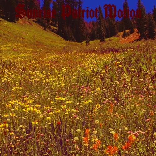 Sunrise Patriot Motion – Black Fellflower Stream (2022)  MP3 320kbps