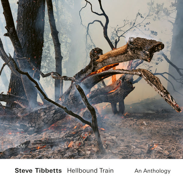Steve Tibbetts – Hellbound Train: An Anthology (2022 Remaster) (2022) [Official Digital Download 24bit/88,2kHz]