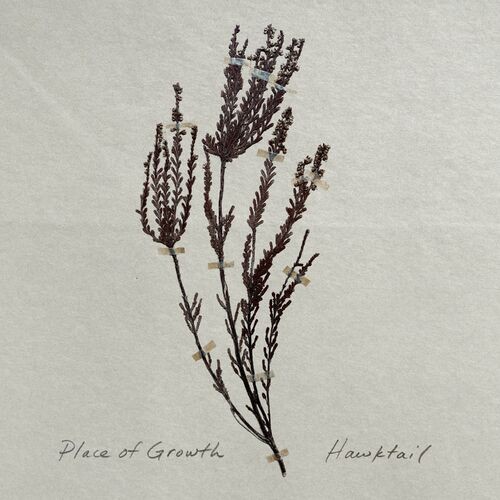 Hawktail - Place of Growth (2022) MP3 320kbps Download