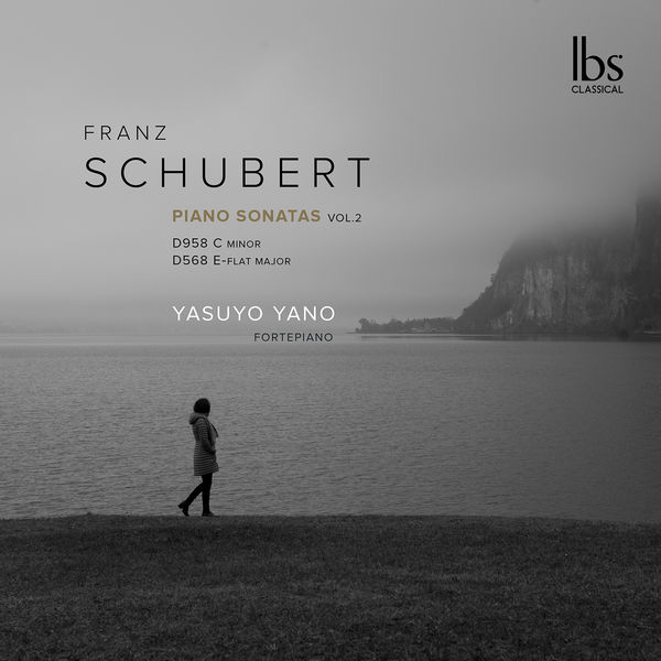 Yasuyo Yano - Schubert: Piano Sonatas, Vol. 2 (2022) [FLAC 24bit/48kHz]