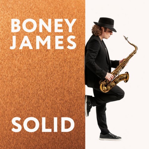 Boney James – Solid (2020) [FLAC 24bit, 96 kHz]