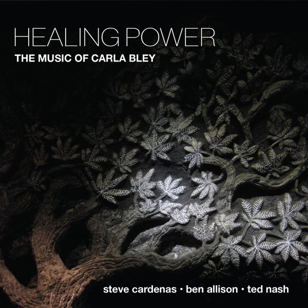Steve Cardenas – Healing Power: The Music of Carla Bley (2022) [Official Digital Download 24bit/96kHz]