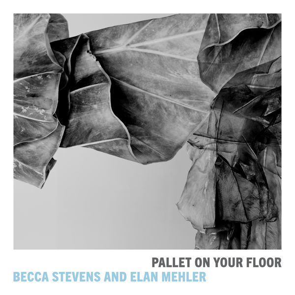 Becca Stevens, Elan Mehler - Pallet on Your Floor (2020) [Official Digital Download 24bit/88,2kHz] Download
