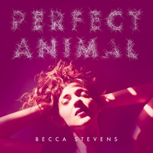 Becca Stevens – Perfect Animal (2015) [FLAC 24bit, 96 kHz]