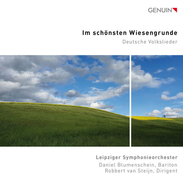 Daniel Blumenschein, Leipziger Symphonieorchester, Robbert van Steijn – Im schönsten Wiesengrunde (2022) [FLAC 24bit/96kHz]