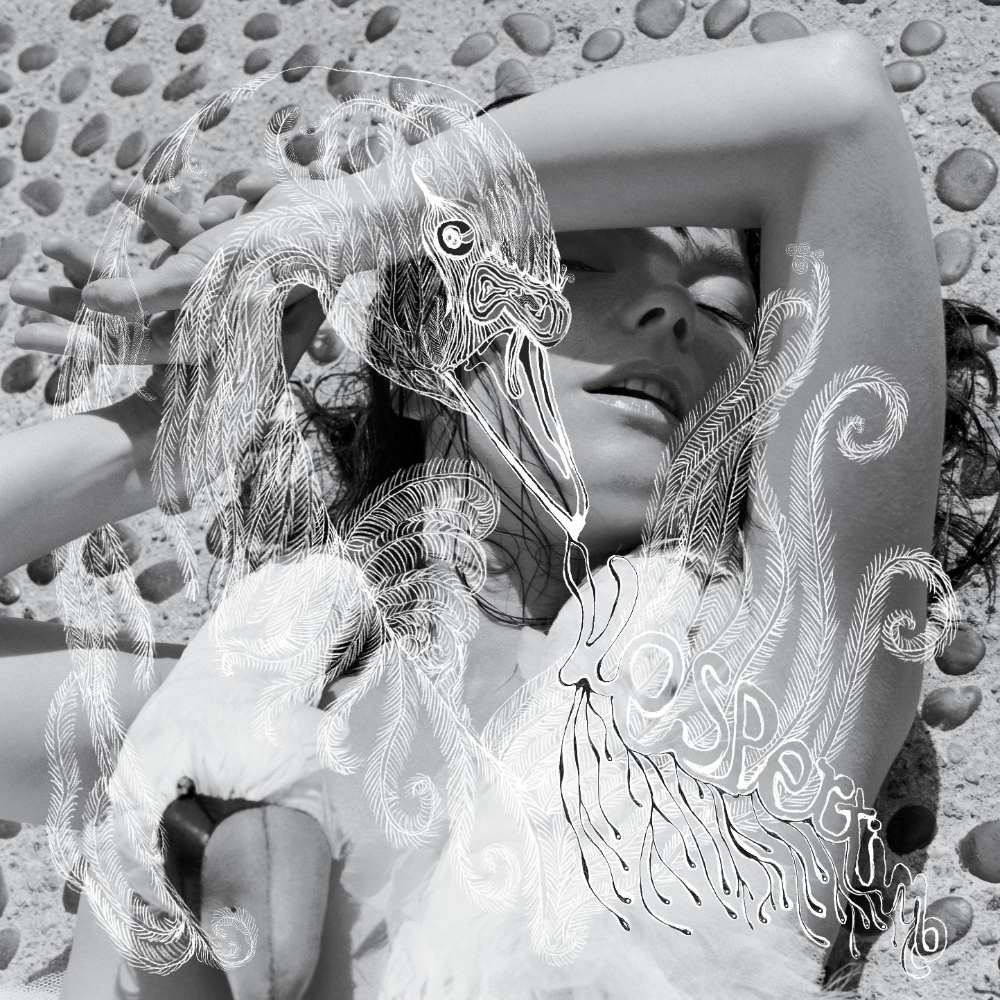 Björk – Vespertine (2012) [Official Digital Download 24bit/48kHz]