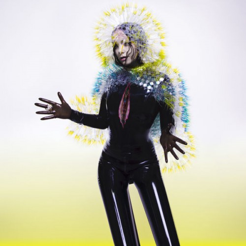 Björk – Vulnicura (2015) [FLAC 24 bit, 96 kHz]