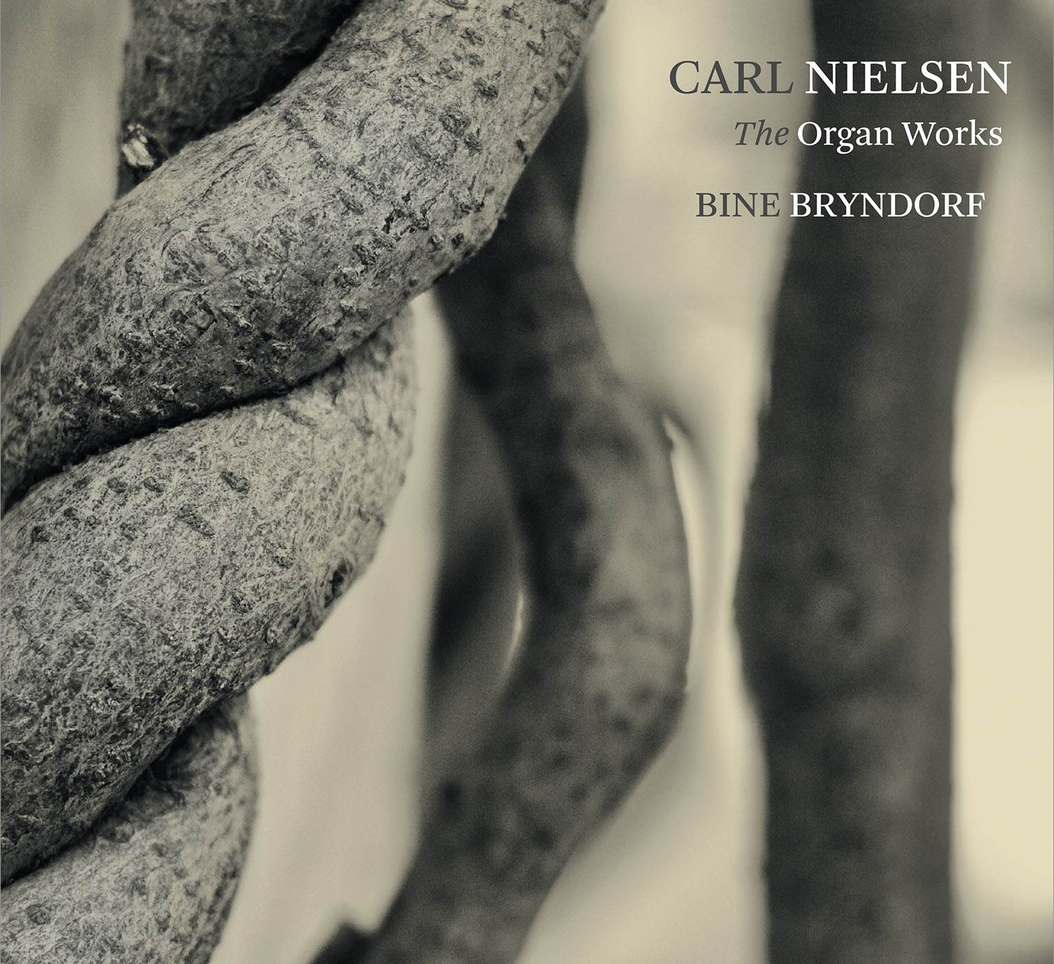Bine Bryndorf – Carl Nielsen: The Organ Works (2017) MCH SACD ISO + Hi-Res FLAC