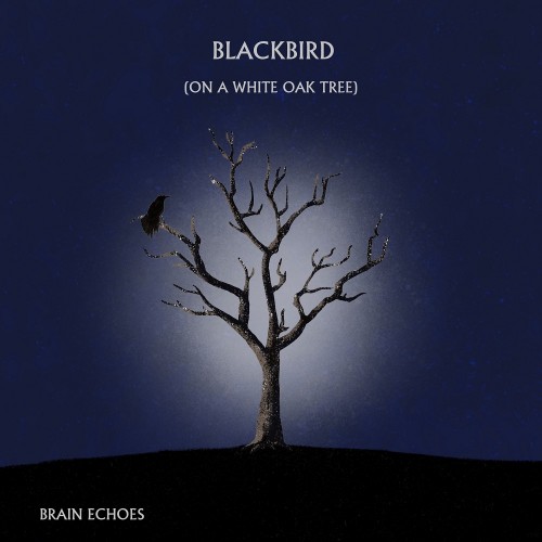 Brain Echoes – Blackbird (On A White Oak Tree) (2021) [FLAC 24 bit, 44,1 kHz]