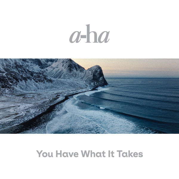 A-Ha – You Have What It Takes (2022) 24bit FLAC