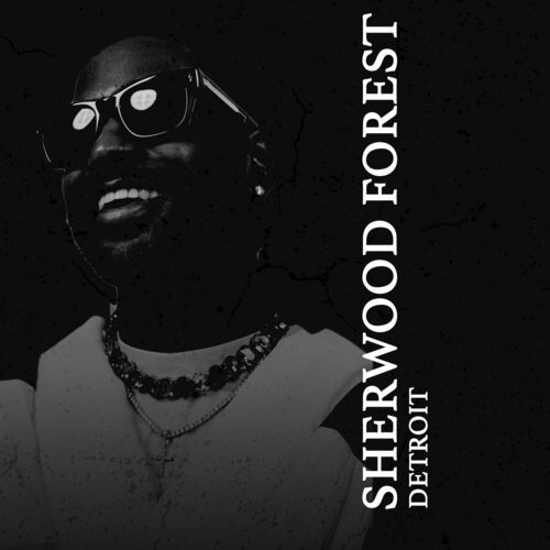 Big Sean – Sherwood Forest (2022) MP3 320kbps