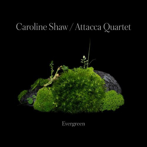 Caroline Shaw﻿ – Caroline Shaw: Evergreen (2022) MP3 320kbps