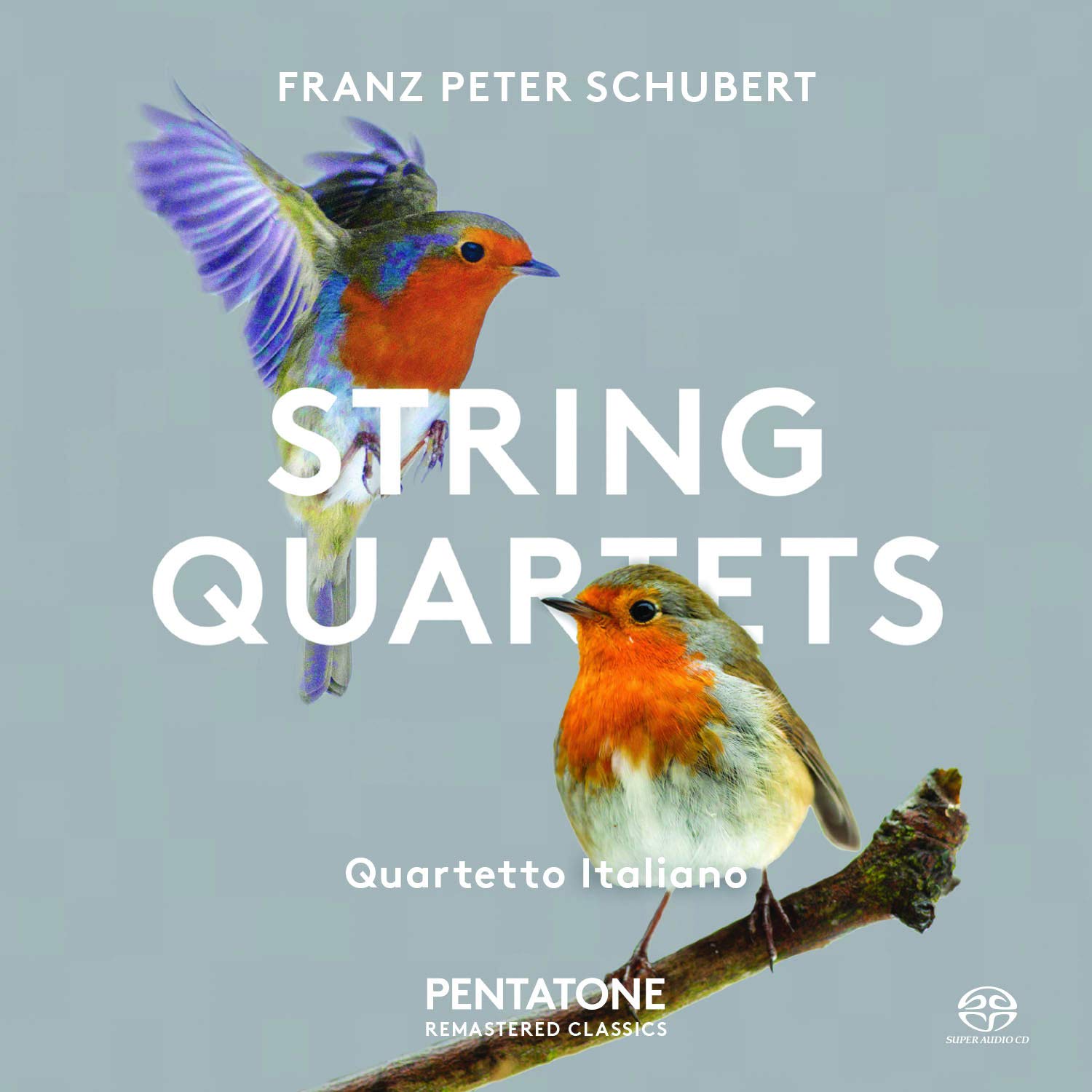 Quartetto Italiano – Schubert: String Quartets (1976) [Reissue 2016] MCH SACD ISO + DSF DSD64 + Hi-Res FLAC