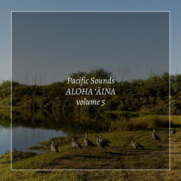 Pacific Sounds – Aloha ‘Aina, Volume 5: Field Recordings of Hawaii (2020) [Official Digital Download 24bit/44,1kHz]