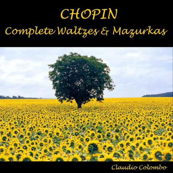Pavel Kolesnikov – Chopin: Impromptus, waltzes & mazurkas (2018) [Official Digital Download 24bit/96kHz]