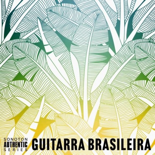 Pedro Tagliani – Guitarra Brasileira (2020) [FLAC 24 bit, 48 kHz]