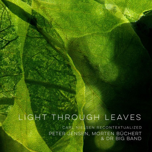 Peter Jensen – Light Through Leaves (2021) [FLAC 24 bit, 48 kHz]