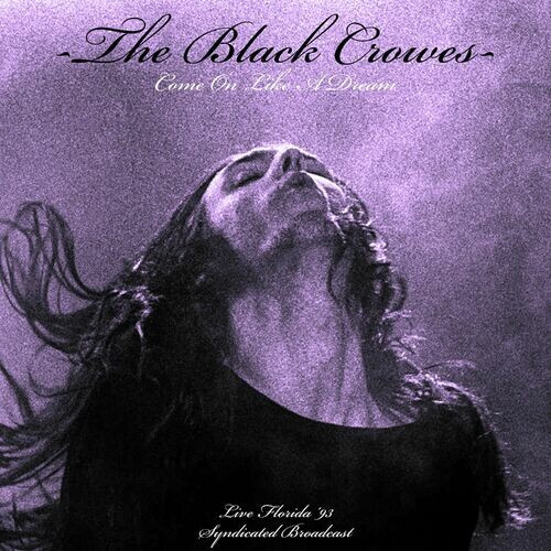 The Black Crowes – Come On Like A dream (Live 1993) (2022) MP3 320kbps