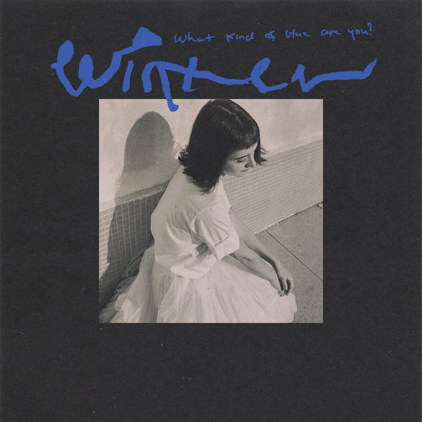 Winter - What Kind of Blue Are You? (2022) 24bit FLAC Download