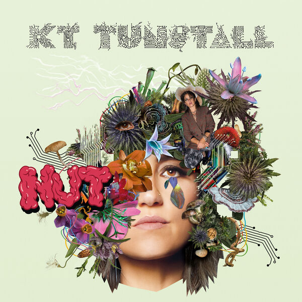 KT Tunstall - NUT (2022) [FLAC 24bit/96kHz] Download