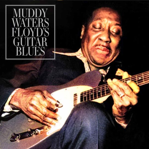 Muddy Waters - Floyd's Guitar Blues (Live) (1976/2022) [FLAC 24bit/44,1kHz] Download