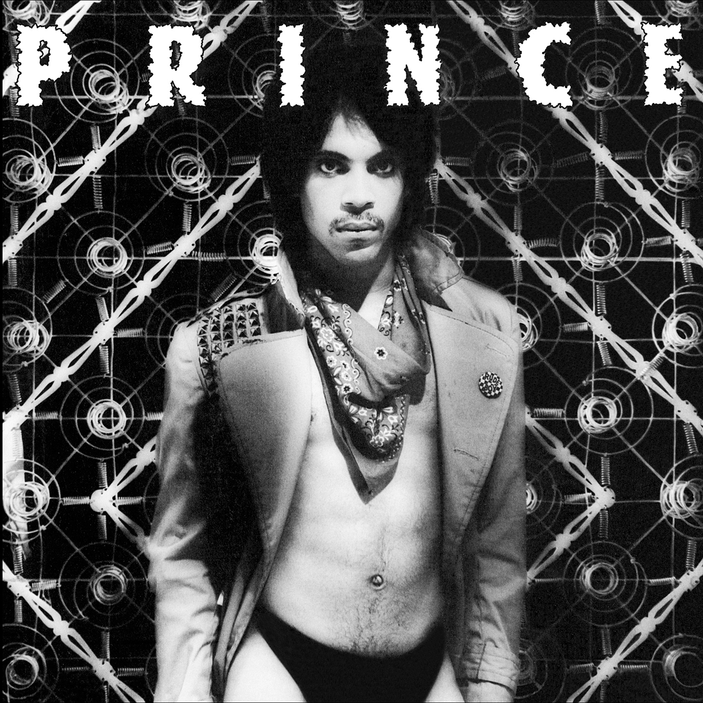 Prince – Dirty Mind (1980/2013) [Official Digital Download 24bit/192kHz]
