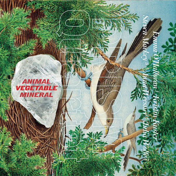 Prism Quartet – Animal, Vegetable, Mineral (2019) [Official Digital Download 24bit/48kHz]