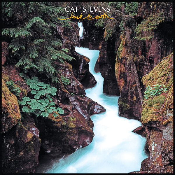 Cat Stevens – Back to Earth (1978/2019) [Official Digital Download 24bit/96kHz]
