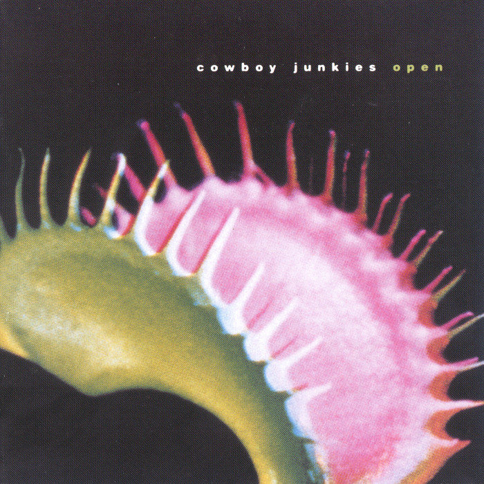 Cowboy Junkies – Open (2001) [Reissue 2002] SACD ISO + Hi-Res FLAC