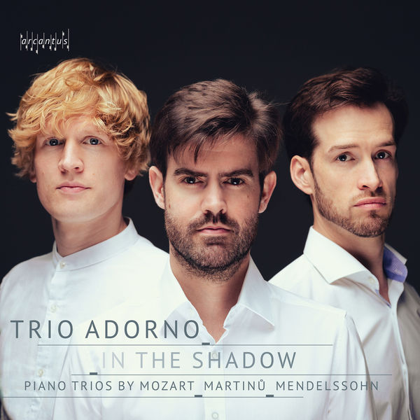 Trio Adorno - Trio Adorno: In the Shadow (2022) [FLAC 24bit/96kHz] Download