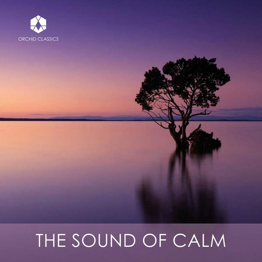 Various Artists – The Sound of Calm (2022) [Official Digital Download 24bit/96kHz]