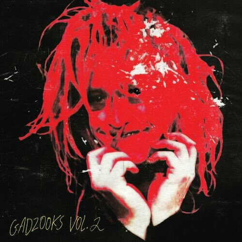 Caleb Landry Jones – Gadzooks Vol. 2 (2022) MP3 320kbps