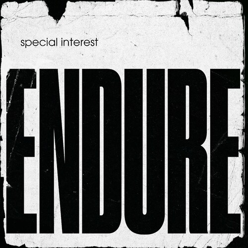 Special Interest - Endure (2022) MP3 320kbps Download