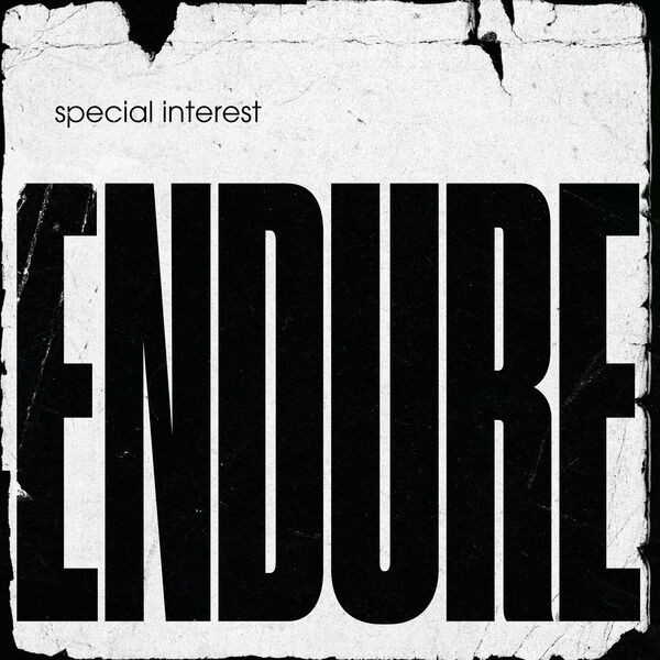 Special Interest – Endure (2022) 24bit FLAC