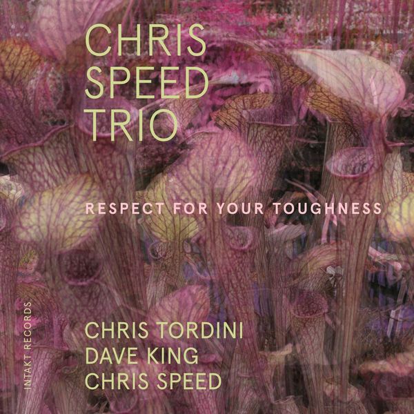 Chris Speed Trio – Respect for Your Toughness (feat. Chris Tordini & Dave King) (2019) [Official Digital Download 24bit/48kHz]