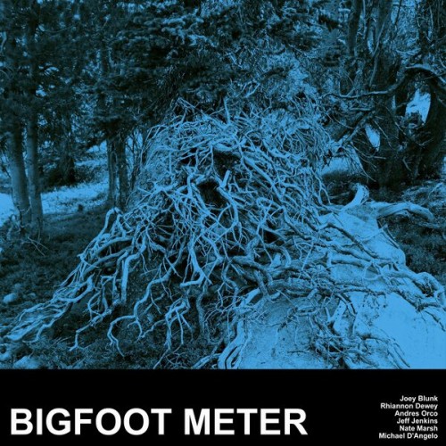 Bigfoot Meter – Bigfoot Meter (2022) [FLAC 24 bit, 88,2 kHz]