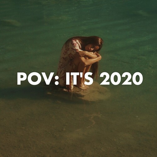Various Artists - pov: it's 2020 (2022) MP3 320kbps Download