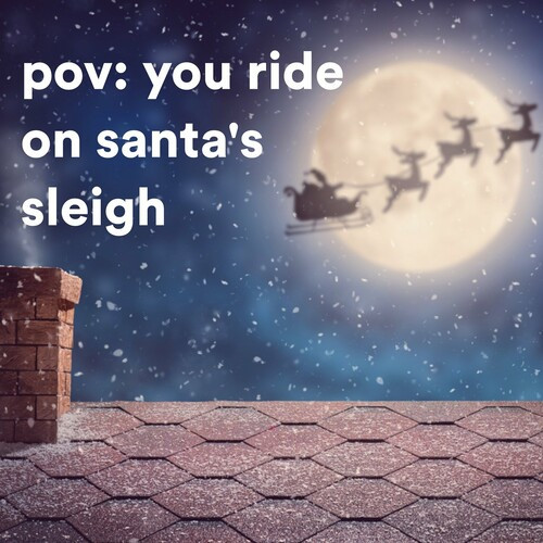 Various Artists – pov: you ride on santa’s sleigh (2022)  MP3 320kbps