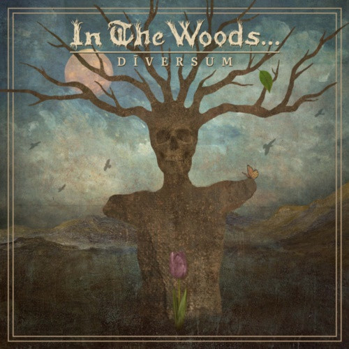 In The Woods… – Diversum (2022) MP3 320kbps