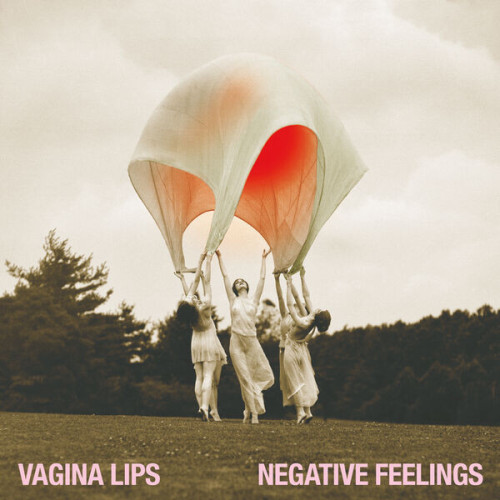 The Vagina Lips – Negative Feelings (2022) 24bit FLAC