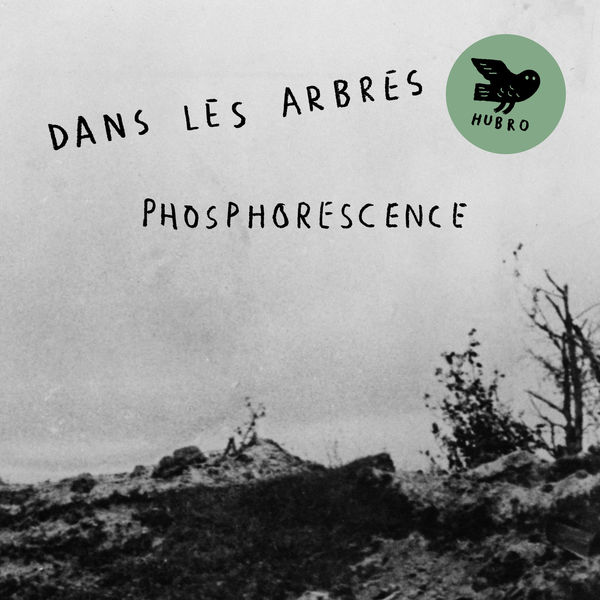 Dans Les Arbres – Phosphorescence (2017) [Official Digital Download 24bit/96kHz]
