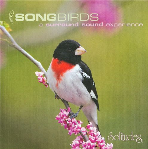 Dan Gibson – Songbirds: A Surround Sound Experience (2007) MCH SACD ISO