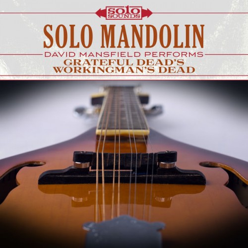 David Mansfield – Grateful Dead’s Workingman’s Dead: Solo Mandolin (2017) [FLAC 24 bit, 192 kHz]