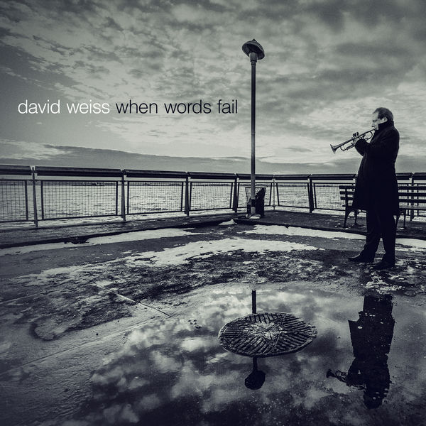 David Weiss – When Words Fail (2014) [Official Digital Download 24bit/44,1kHz]